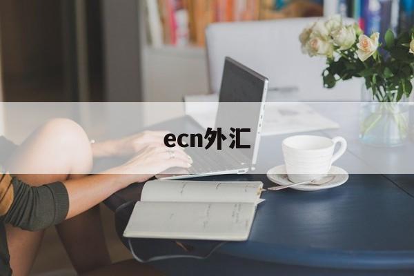 ecn外汇(ecn外汇哪个平台最好)